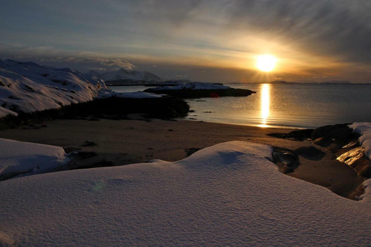 Superior Cottage With Sea View In Senja Senjehesten Exterior photo