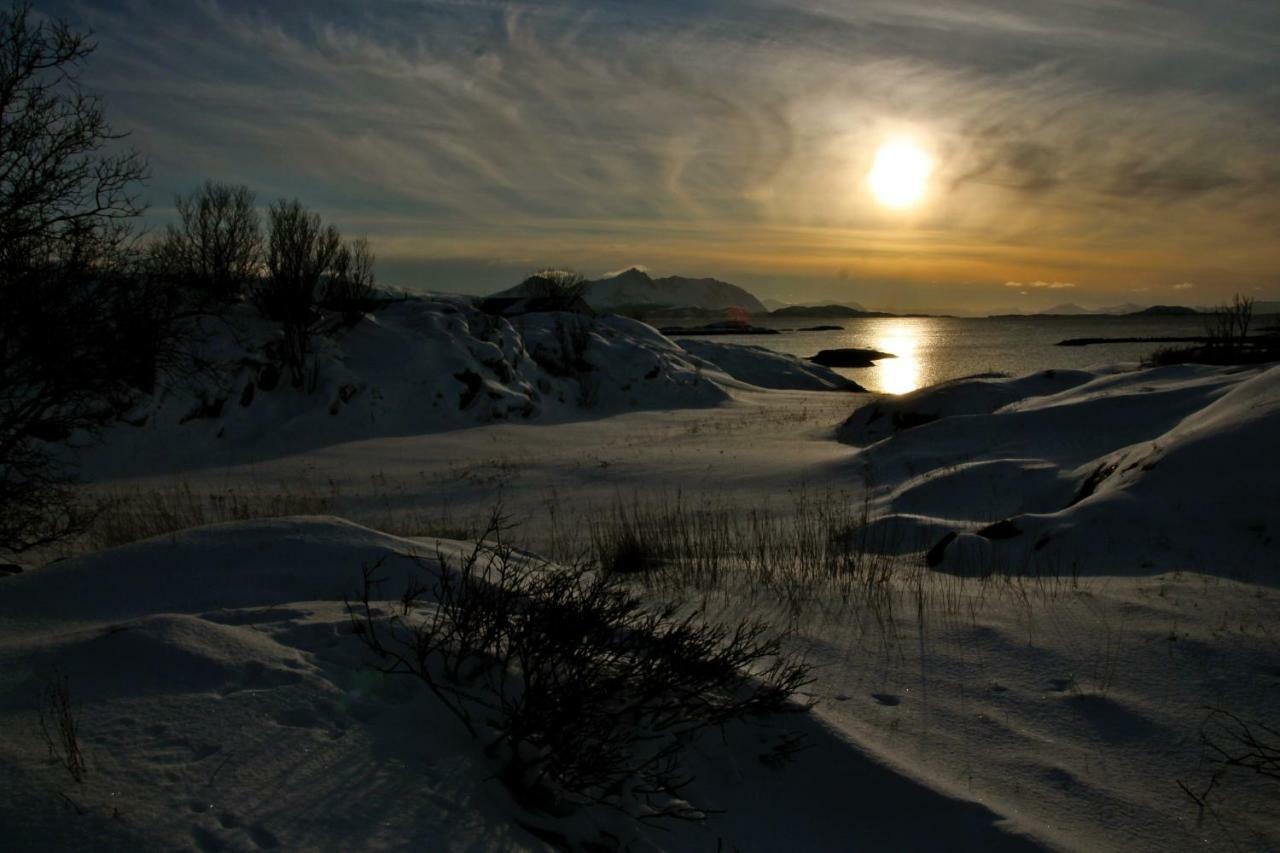 Superior Cottage With Sea View In Senja Senjehesten Exterior photo